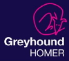 Greyhound Homer